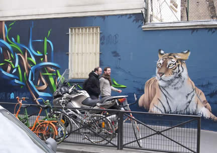 wall tiger