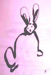 rabbit in the headlights