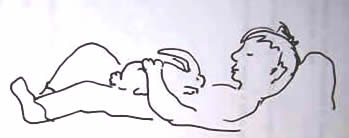 pet bunny take care of fears