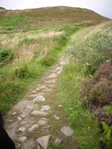 on the way inner terrain