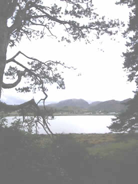 darkened view at poolewe