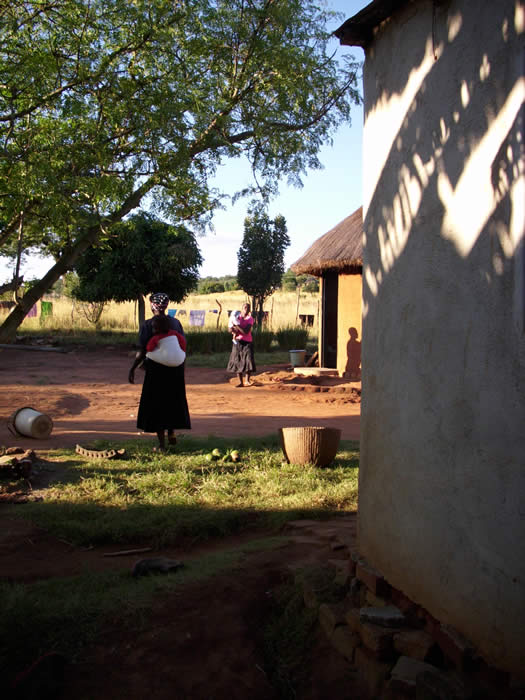 zimbabwe homestead
