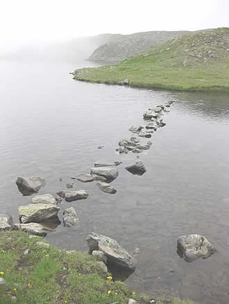 stepping stones