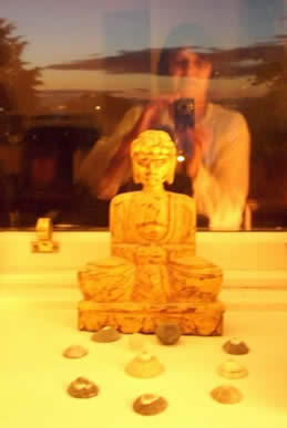 buddha window reflections