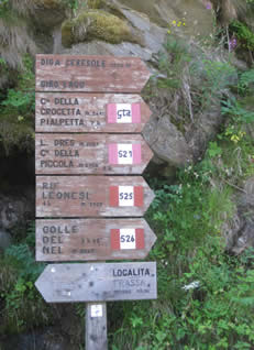 signposts