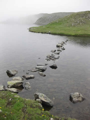 stepping stones
